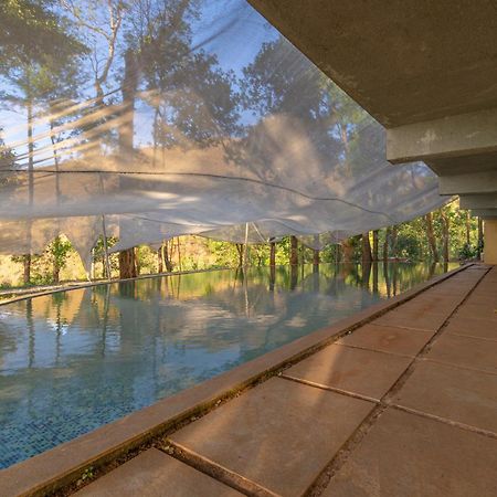 Q Swarga Retreat Hotel Attigundi Exterior foto